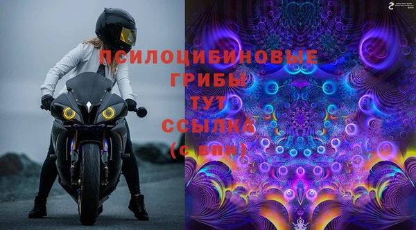сатива Верхний Тагил