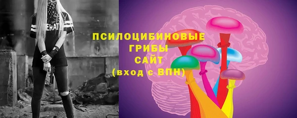 сатива Верхний Тагил