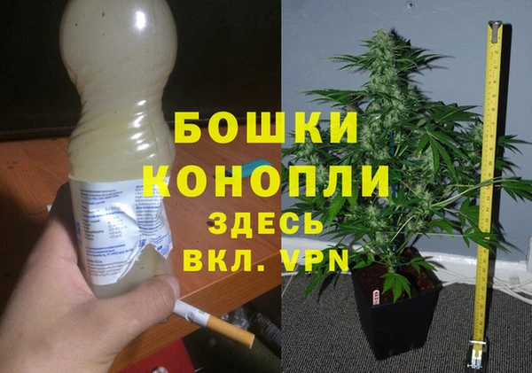 сатива Верхний Тагил
