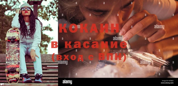 сатива Верхний Тагил