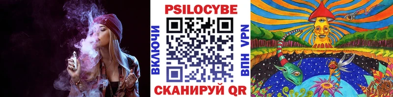 Псилоцибиновые грибы Psilocybe  гидра сайт  Грозный 